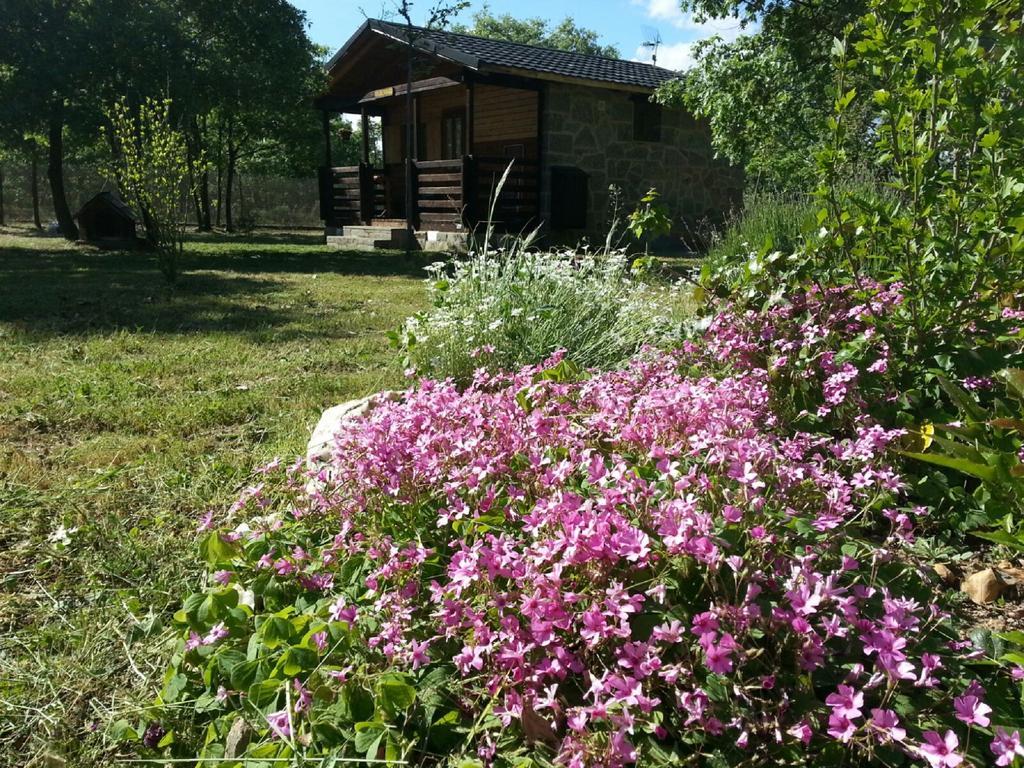 Cabanas Vallecino Manzanal de los Infantes 外观 照片