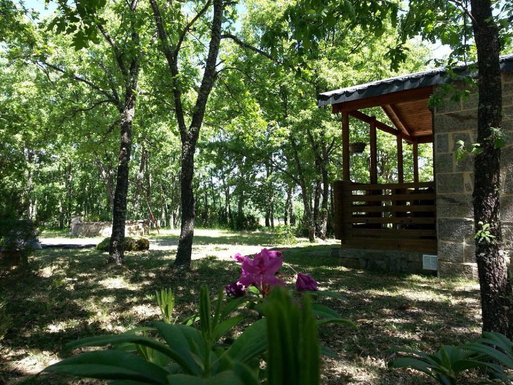 Cabanas Vallecino Manzanal de los Infantes 外观 照片