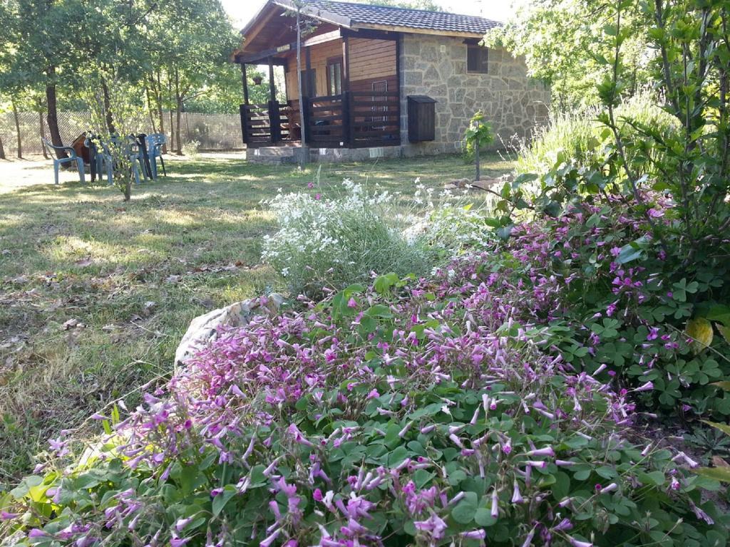 Cabanas Vallecino Manzanal de los Infantes 外观 照片