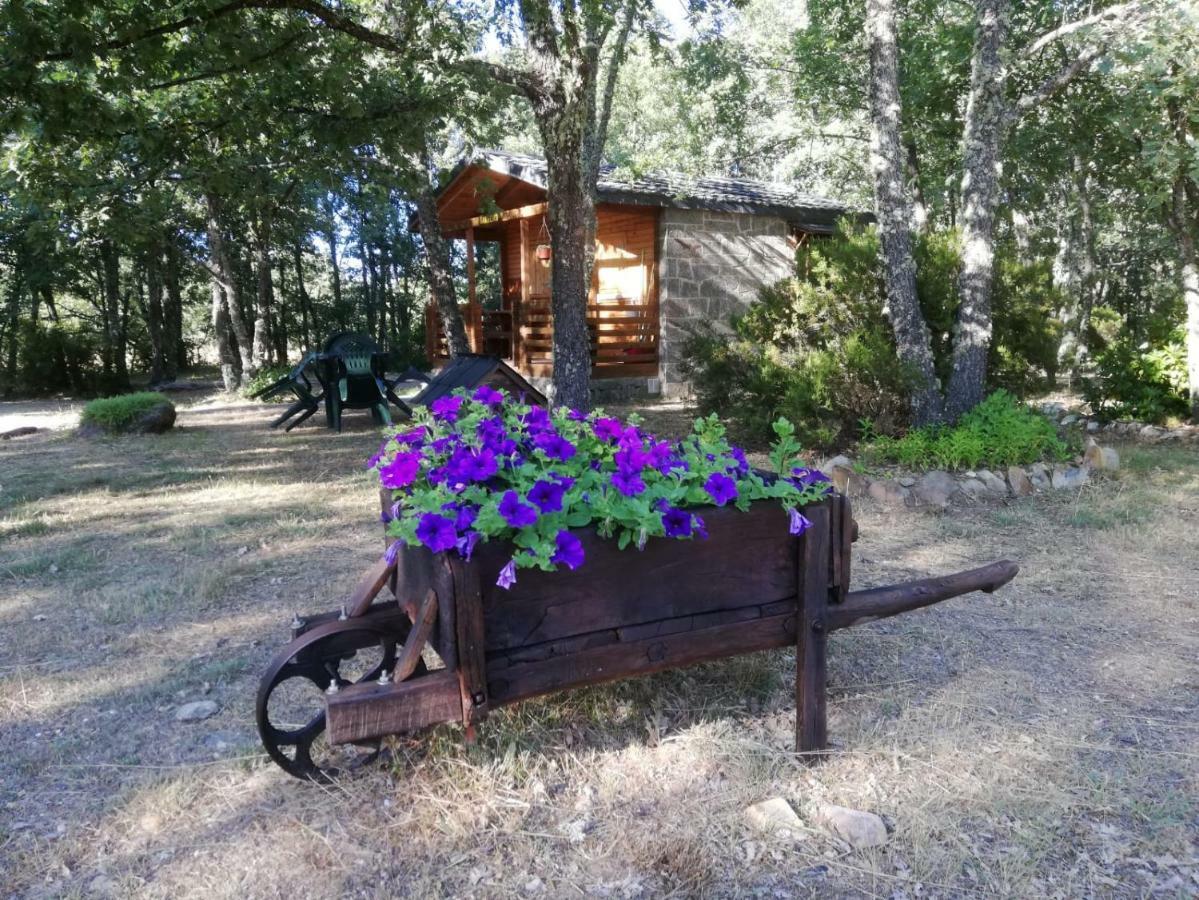 Cabanas Vallecino Manzanal de los Infantes 外观 照片