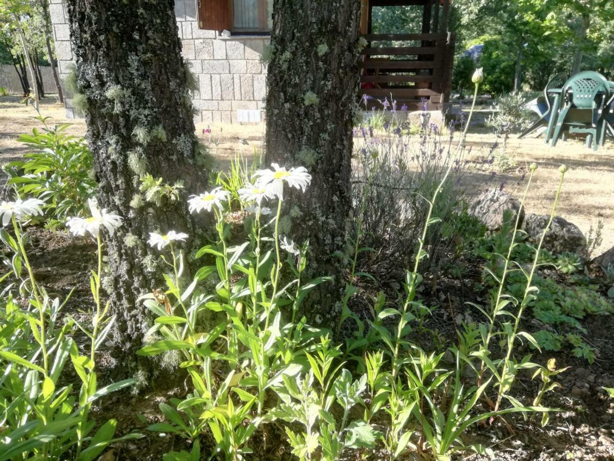 Cabanas Vallecino Manzanal de los Infantes 外观 照片