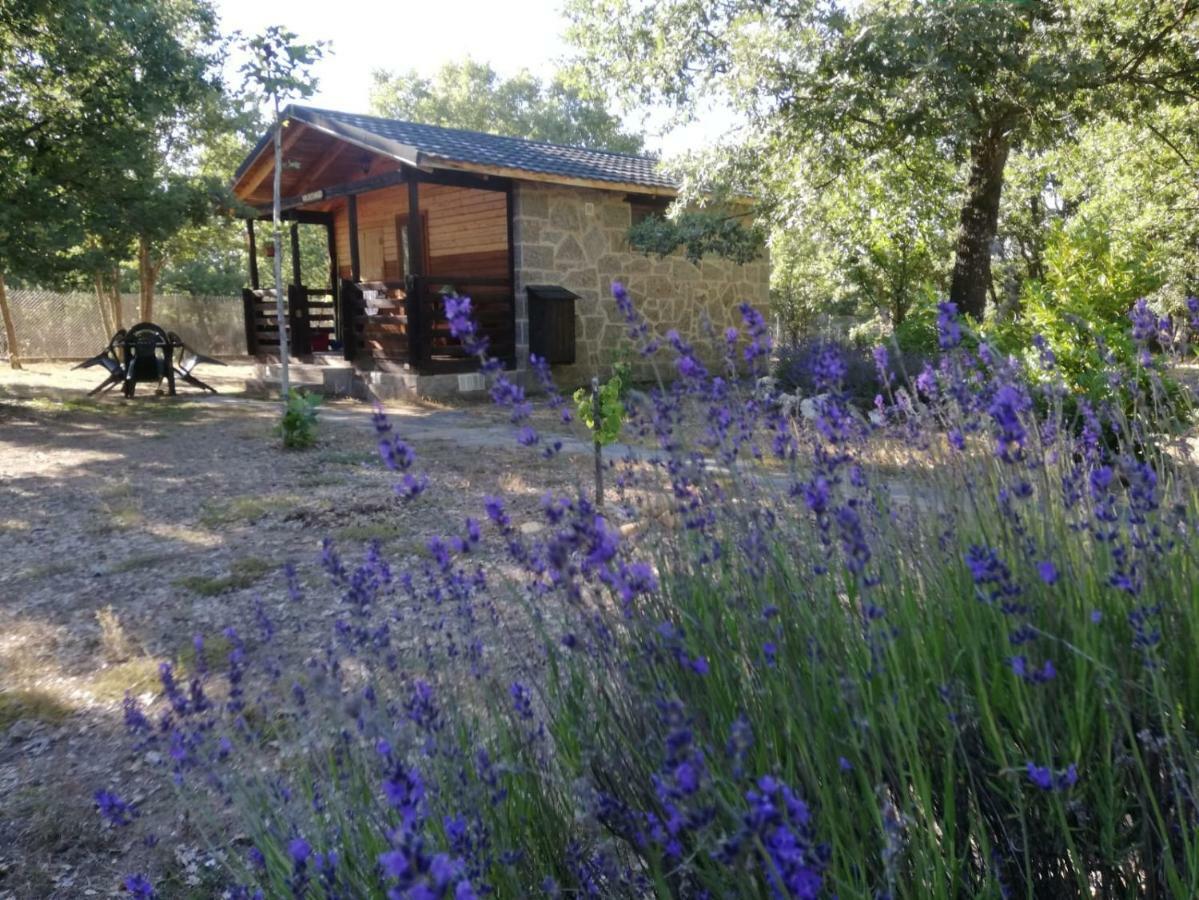 Cabanas Vallecino Manzanal de los Infantes 外观 照片