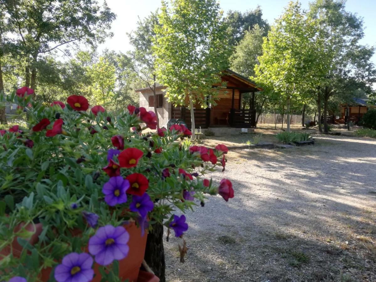 Cabanas Vallecino Manzanal de los Infantes 外观 照片